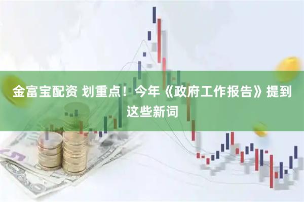 金富宝配资 划重点！今年《政府工作报告》提到这些新词