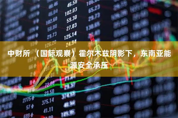 中财所 （国际观察）霍尔木兹阴影下，东南亚能源安全承压